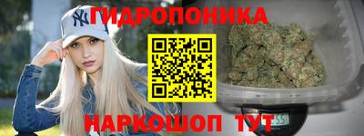 эйфоретик Кандалакша