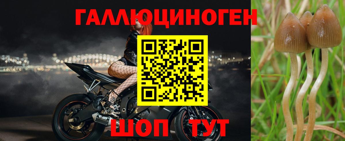купить наркоту  Вход с VPN  Кушва  Галлюциногенные грибы мухоморы 