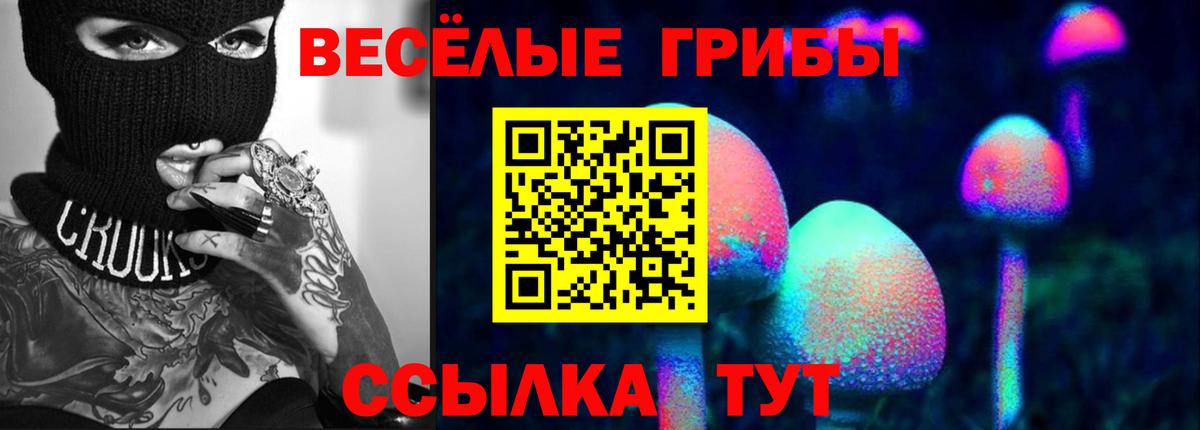 Псилоцибиновые грибы Psilocybe Кушва